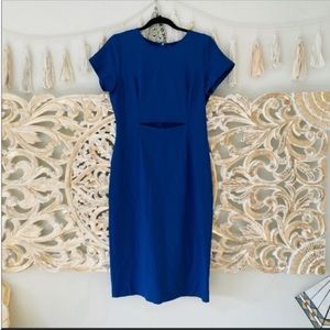 Aritzia Babaton Blue Prosper Dress